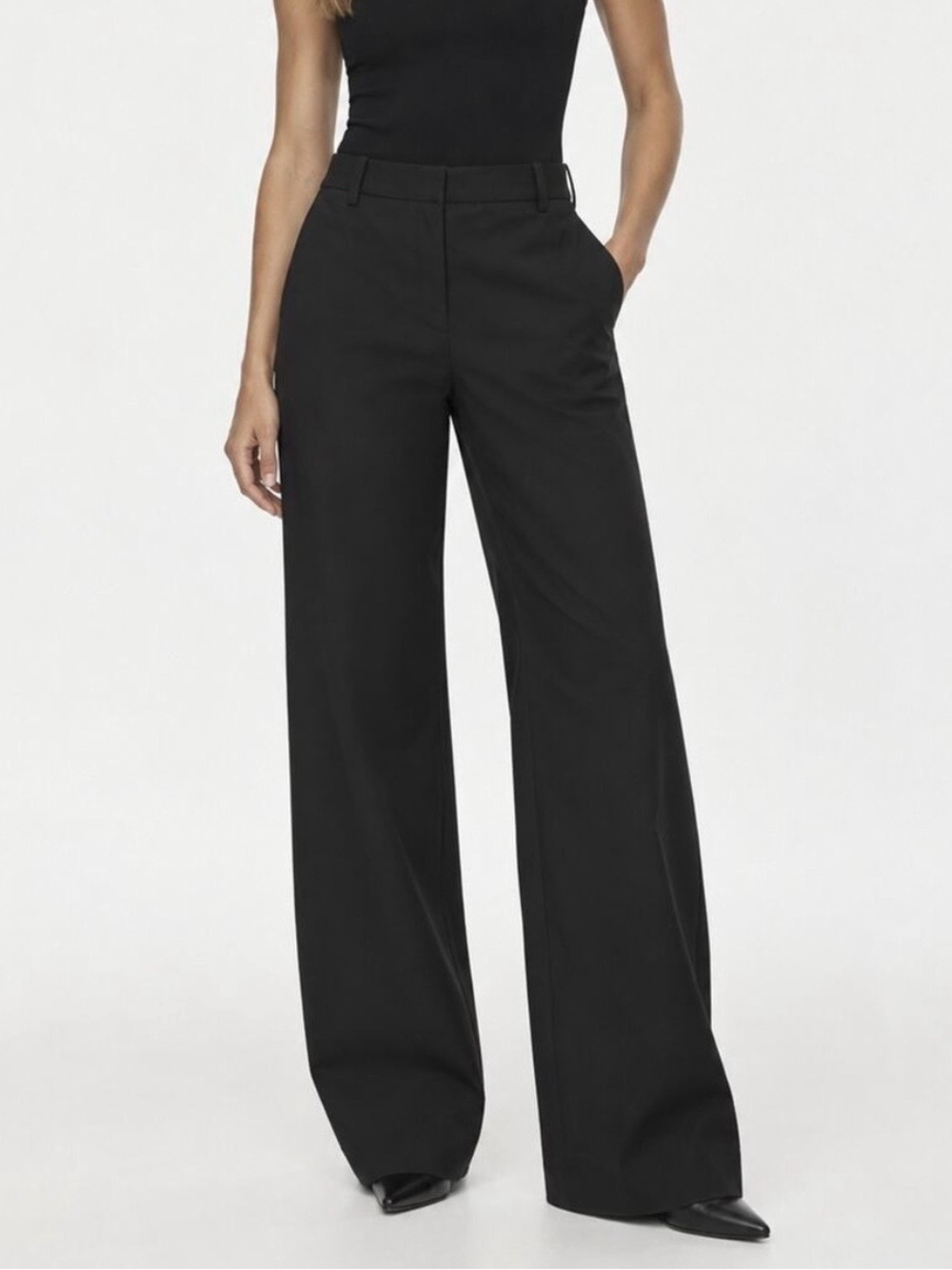 Aritzia Babaton Pivotal Wide Leg Trouser Pants
